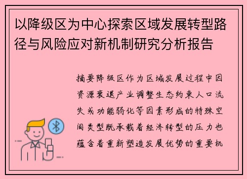 以降级区为中心探索区域发展转型路径与风险应对新机制研究分析报告 以降级区为中心探索区域发展转型路径与风险应对新机制研究分析报告